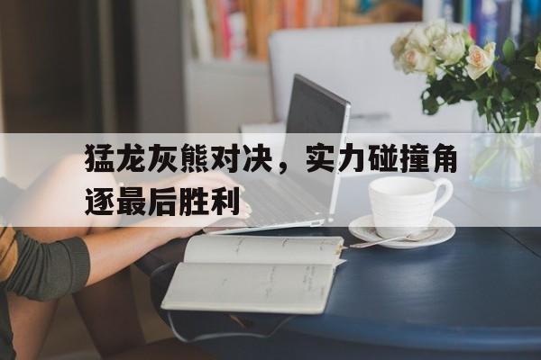 猛龙灰熊对决，实力碰撞角逐最后胜利的简单介绍