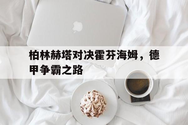 关于柏林赫塔对决霍芬海姆，德甲争霸之路的信息