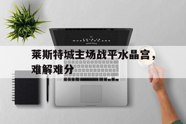 莱斯特城主场战平水晶宫，难解难分的简单介绍